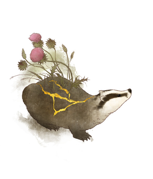 500x582 Badger's Drawing Things Tumblr - Badger Drawing