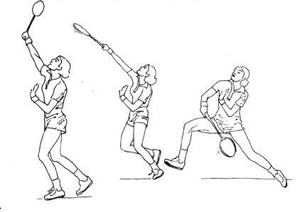 425x299 badminton handbook hancock house publishers - Badminton Drawing