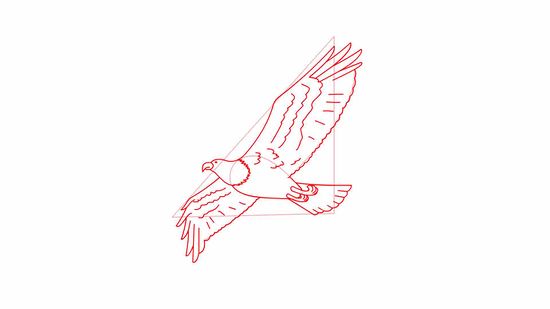 550x309 how to draw a bald eagle steps - Bald Eagle Drawing