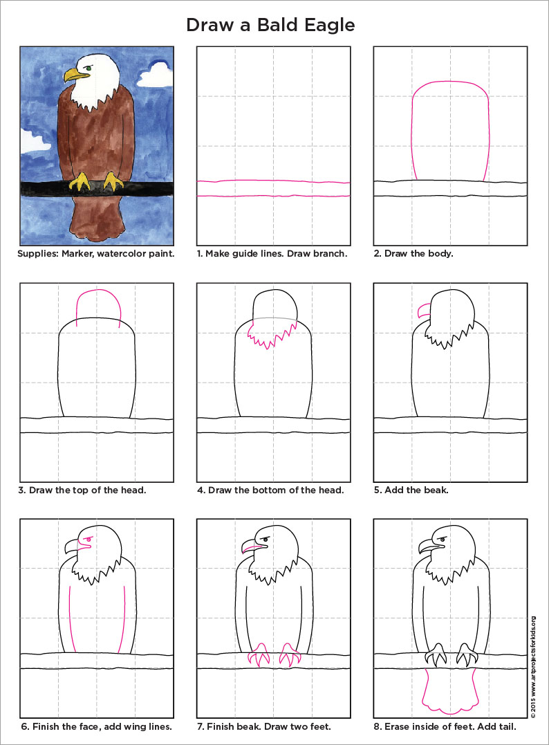 794x1077 how to draw a bald eagle art projects for kids - Bald Eagle Drawing