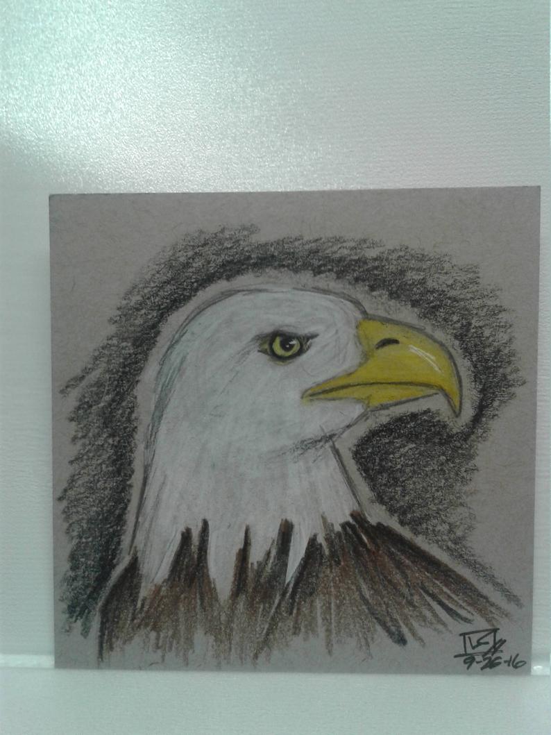 794x1059 bald eagle colored pencil drawing art etsy - Bald Eagle Drawing