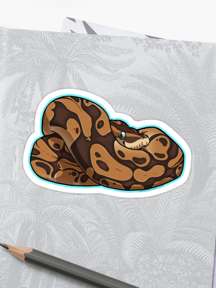 Ball Python Drawing At PaintingValley.com | Explore Collection Of Ball ...