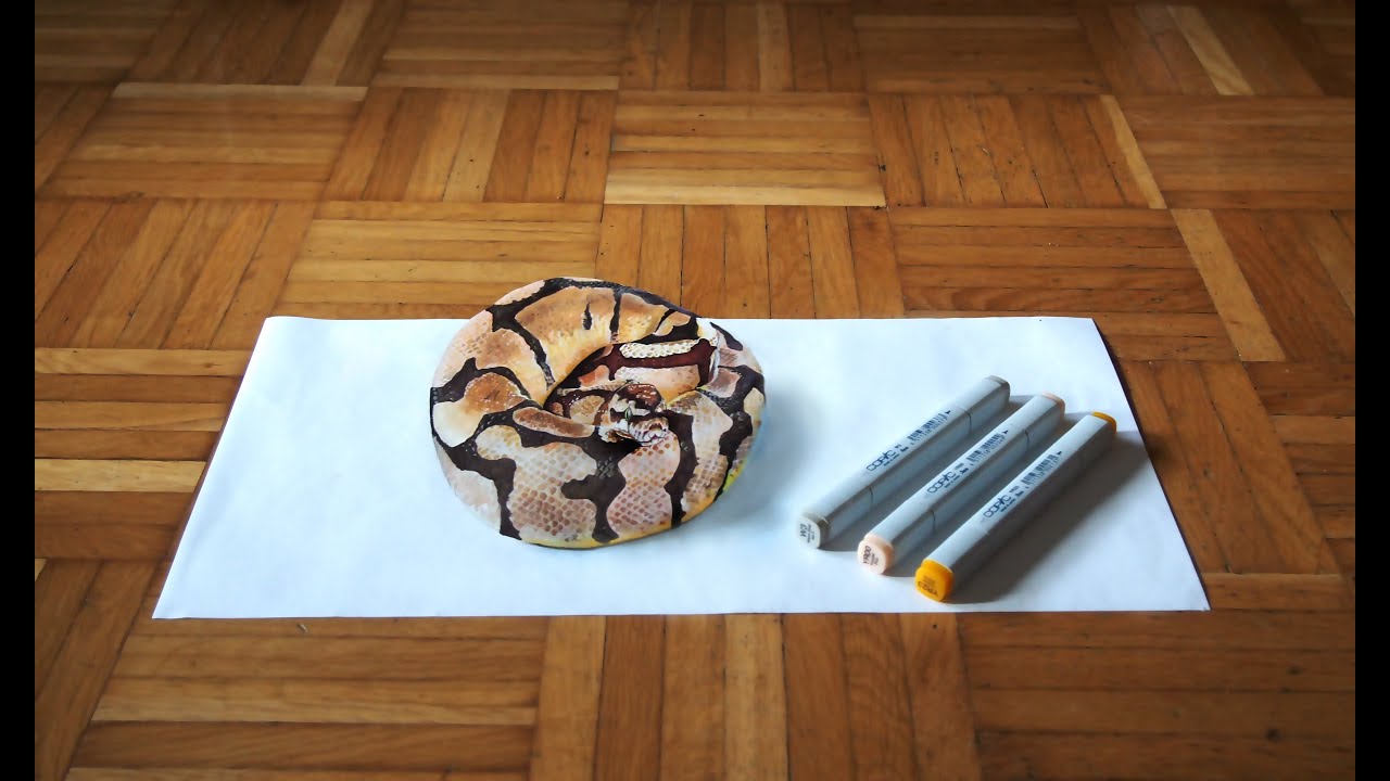1280x720 ball python copic drawing - Ball Python Drawing