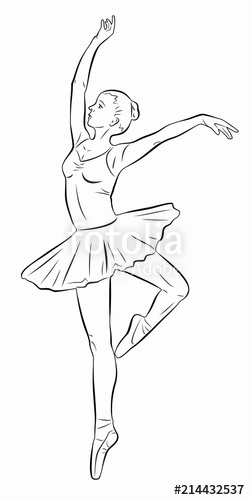 250x500 illustration of a ballet dancer, vector draw stock image - Ballet Dancer Drawing