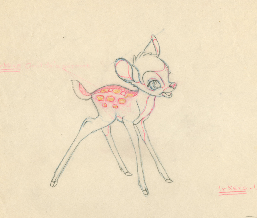 900x763 bambi model drawing - Bambi Drawing