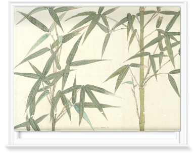 384x303 blinds of drawing of bamboo - Bamboo Drawing