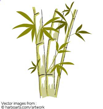 335x355 download bamboo drawing - Bamboo Drawing