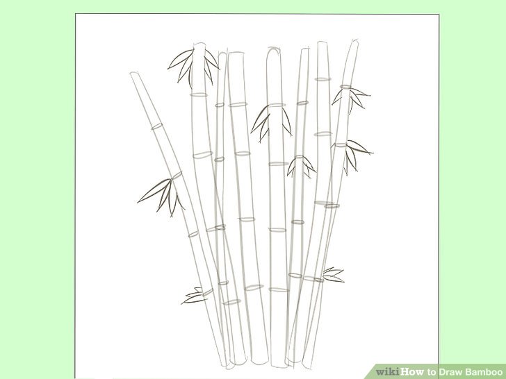 728x546 how to draw bamboo steps - Bamboo Drawing
