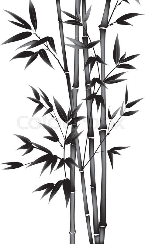 477x800 bamboo drawing fortune plant for free download - Bamboo Drawing