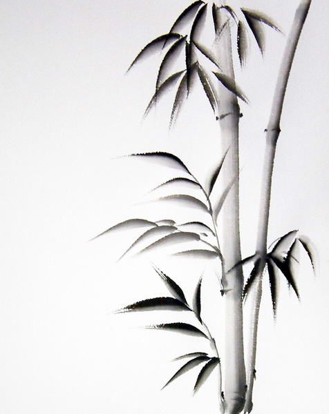 476x600 japanese bamboo drawings hand painted sumi art remembering - Bamboo Drawing