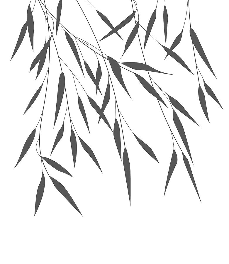 781x900 vector bamboo leaves drawing - Bamboo Drawing
