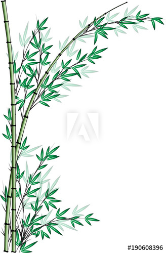 328x500 bamboo drawing background - Bamboo Drawing