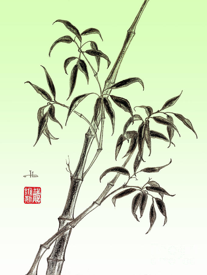 680x900 bamboo drawing mixed media - Bamboo Drawing