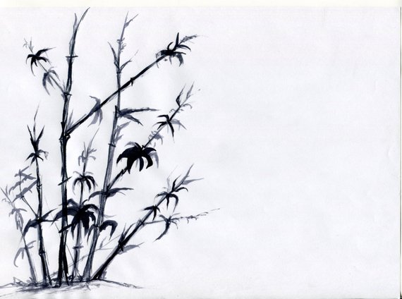 570x424 Chinese Drawing A Print Of A Beautiful Bamboo Tree Sized Etsy - Bamboo Tree Drawing