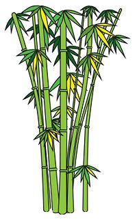 200x322 Draw Bamboo Art Lesson Plans Bamboo Drawing, Drawings, Panda - Bamboo Tree Drawing