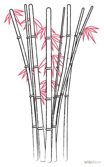 342x549 Draw Bamboo Shelby's Comic Strip Drawings, Bamboo Drawing - Bamboo Tree Drawing