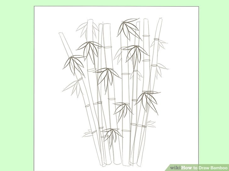 728x546 How To Draw Bamboo Steps - Bamboo Tree Drawing