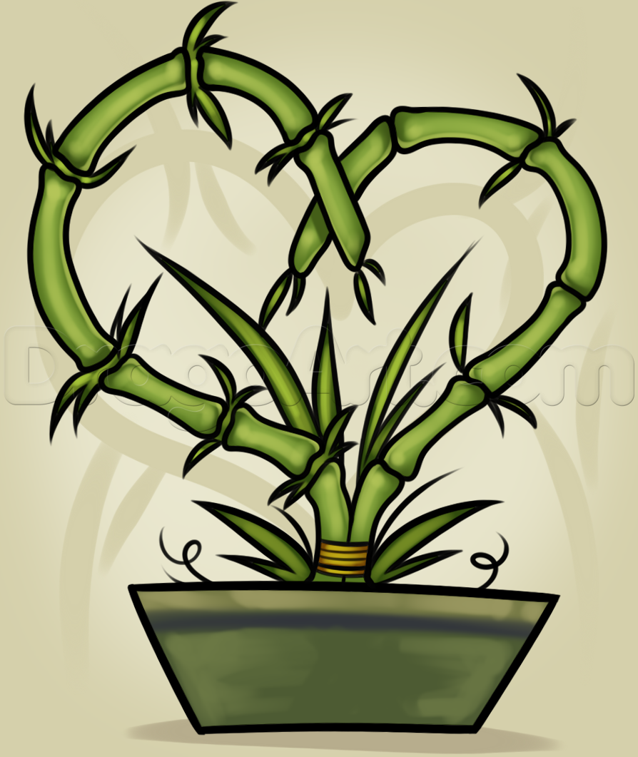 894x1061 How To Draw A Bamboo Plant, Step - Bamboo Tree Drawing