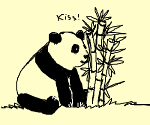 300x250 A Panda Bear Kissing A Bamboo Tree Drawing - Bamboo Tree Drawing