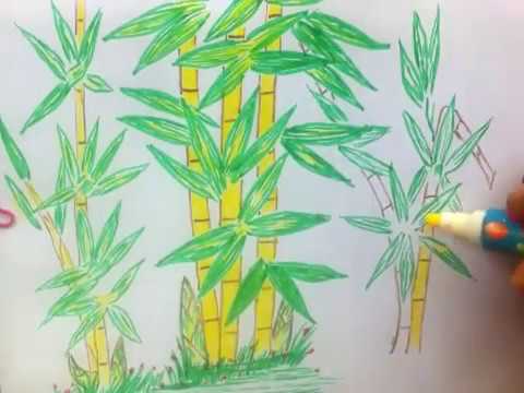 480x360 How To Draw Bamboo Tree - Bamboo Tree Drawing