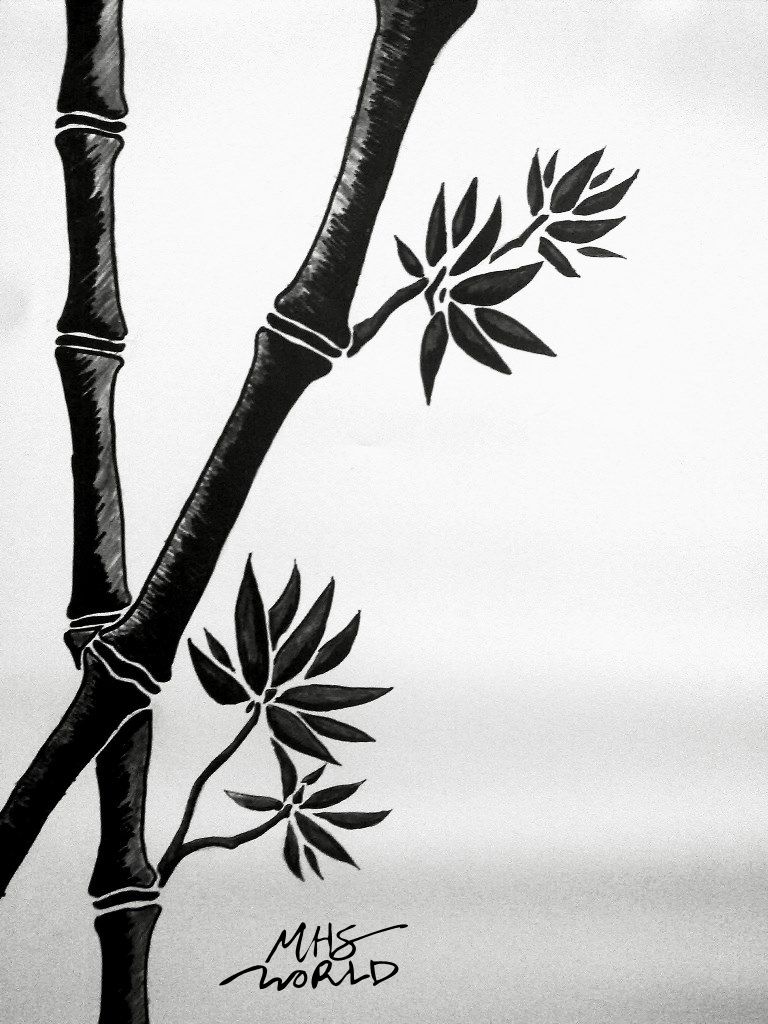 768x1024 Illustration, Freehand Drawing, Japanese Culture, Bamboo Tree - Bamboo Tree Drawing