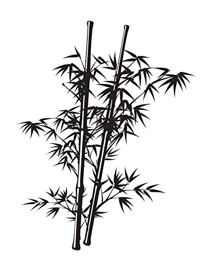 Bamboo Tree Drawing at PaintingValley.com | Explore collection of ...