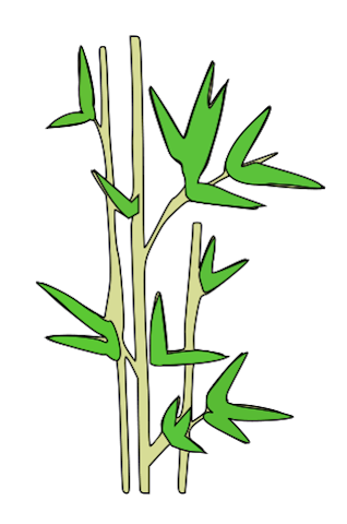 318x480 Bamboo, Drawing, Flower, Transparent Png Image Clipart Free Download - Bamboo Tree Drawing