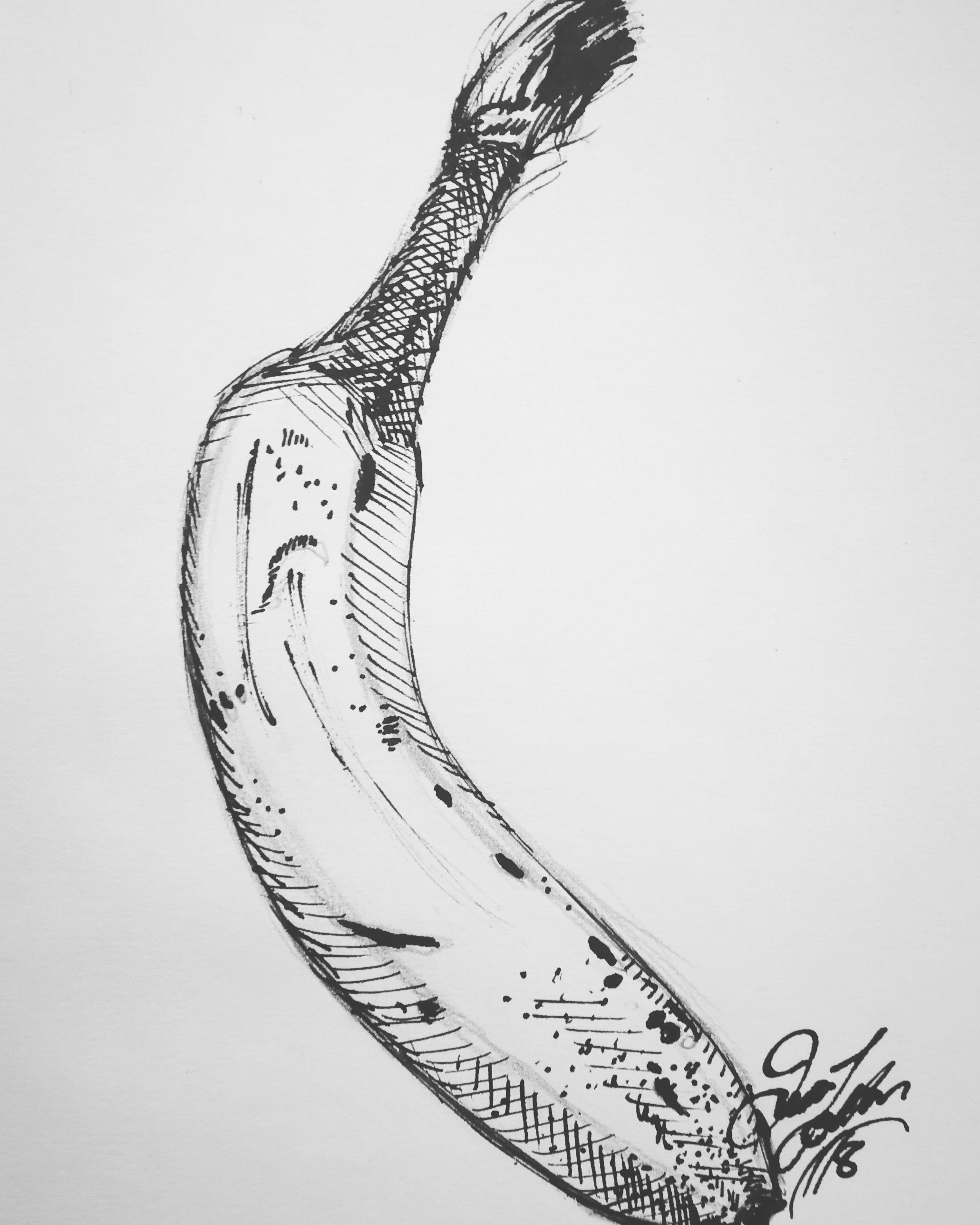 2061x2576 food art food print food drawing banana art banana print etsy - Banana Drawing