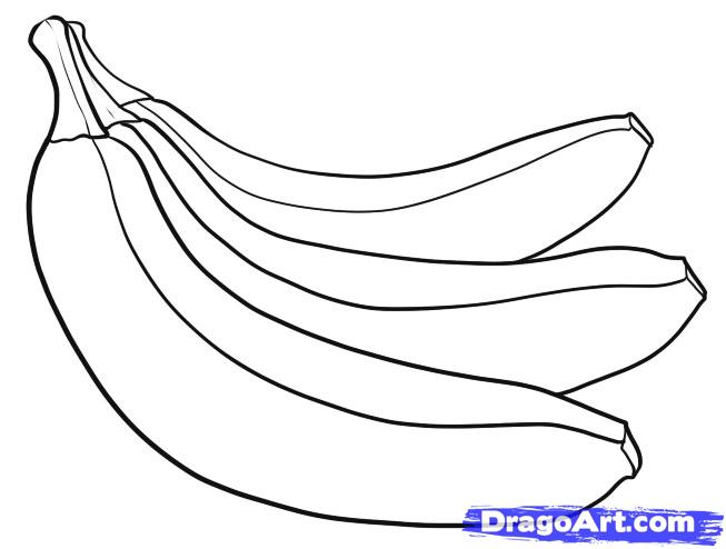 653x494 how to draw bananas, step - Banana Drawing