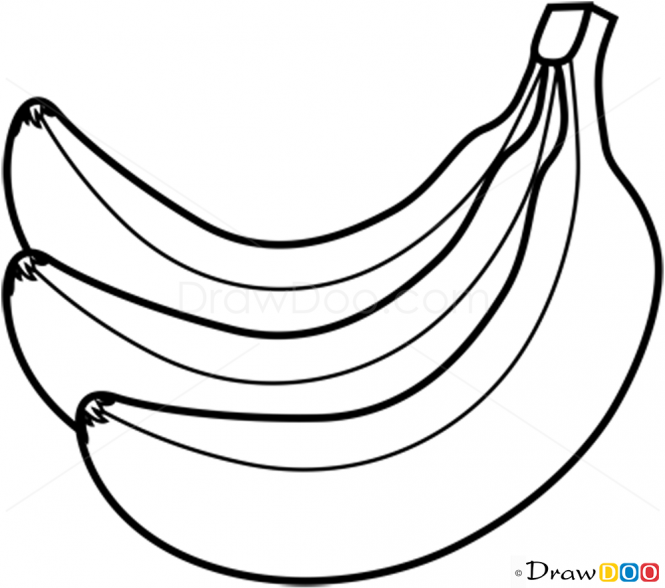 665x588 Fruit Drawing Banana For Free Download - Banana Drawing
