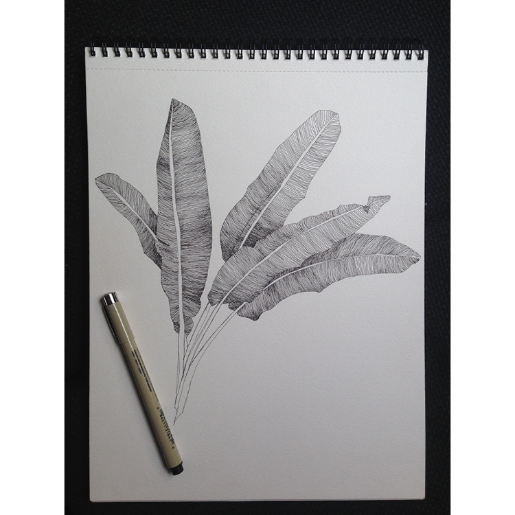 750x750 Bananier Bts Printed Wild Handmade Goods With Patterns - Banana Leaf Drawing