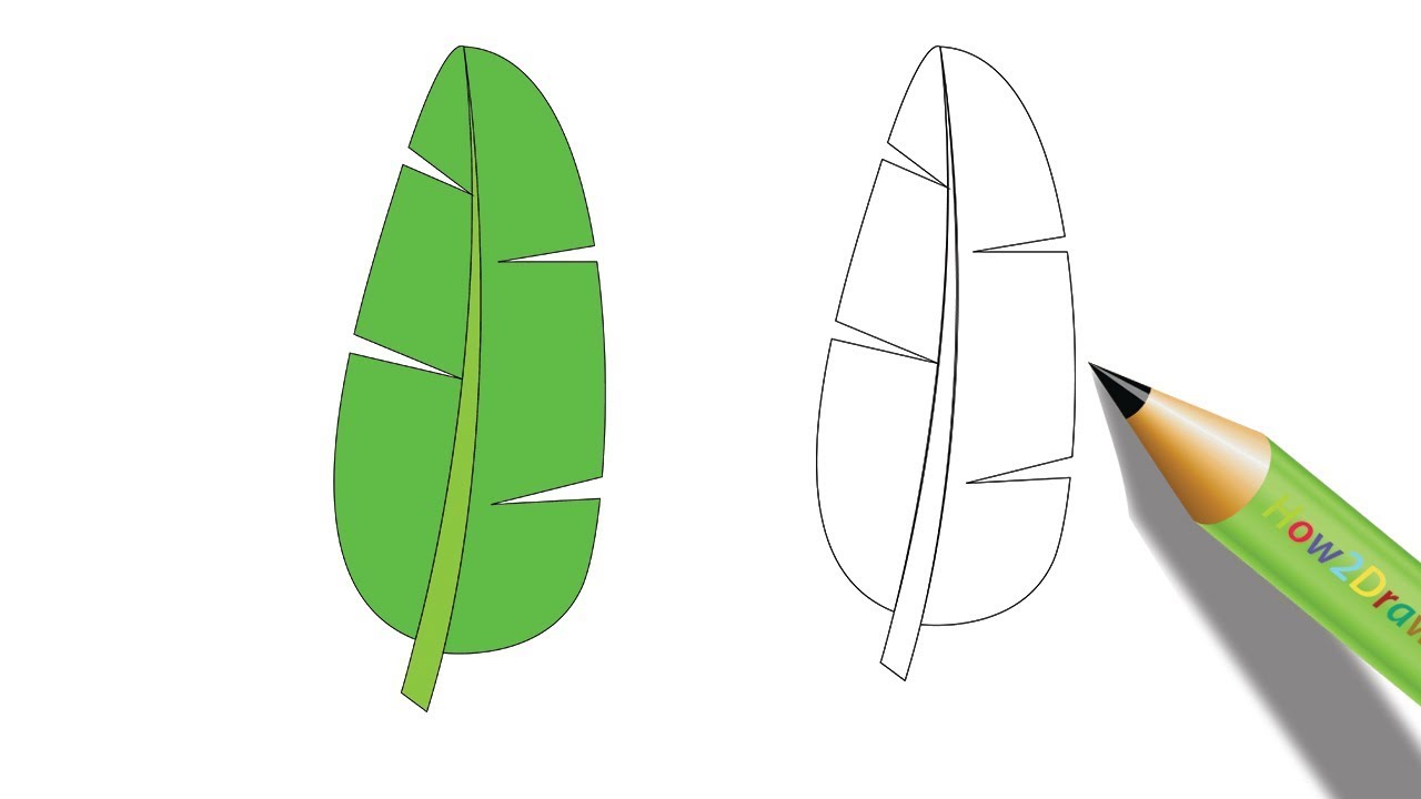 1280x720 How To Draw A Banana Leaf Easy Drawing - Banana Leaf Drawing