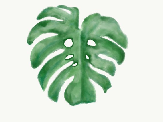 570x427 Watercolor Banana Leaf Digital Download Etsy - Banana Leaf Drawing