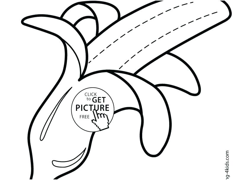 827x609 Coloring Pages Halloween Pumpkin Printable Unicorn For Adults - Banana Line Drawing