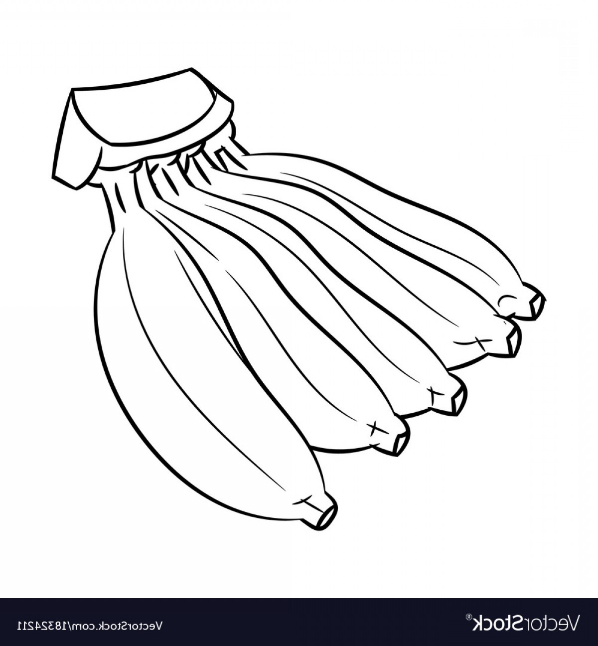1200x1296 Line Drawing Of Banana Simple Line Vector Soidergi - Banana Line Drawing