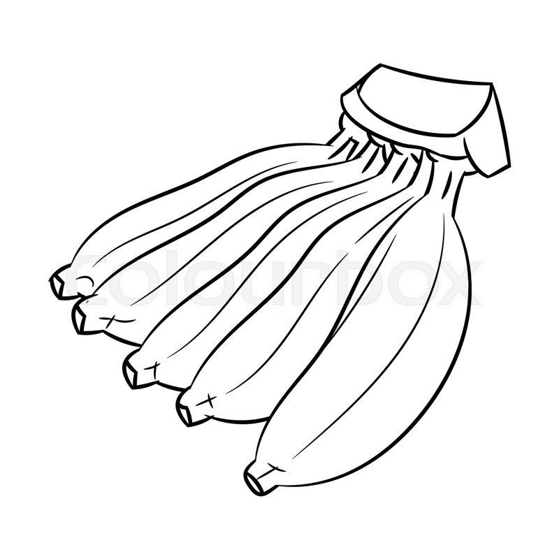 800x800 Line Drawing Of Banana Simple Line Vector - Banana Line Drawing