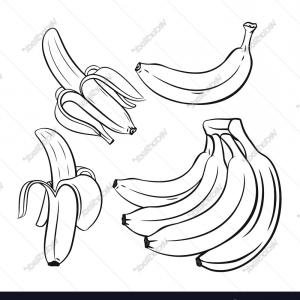 300x300 Stock Illustration Banana Line Drawing Bananas White Background - Banana Line Drawing