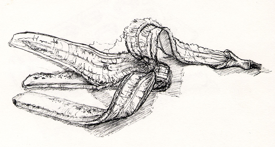 1142x612 banana peels peel drawing - Banana Peel Drawing