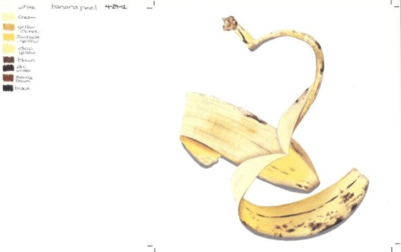 570x359 banana peel photo realistic colored pencil drawing print on etsy - Banana Peel Drawing