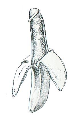 253x400 drawn banana peel banana - Banana Peel Drawing