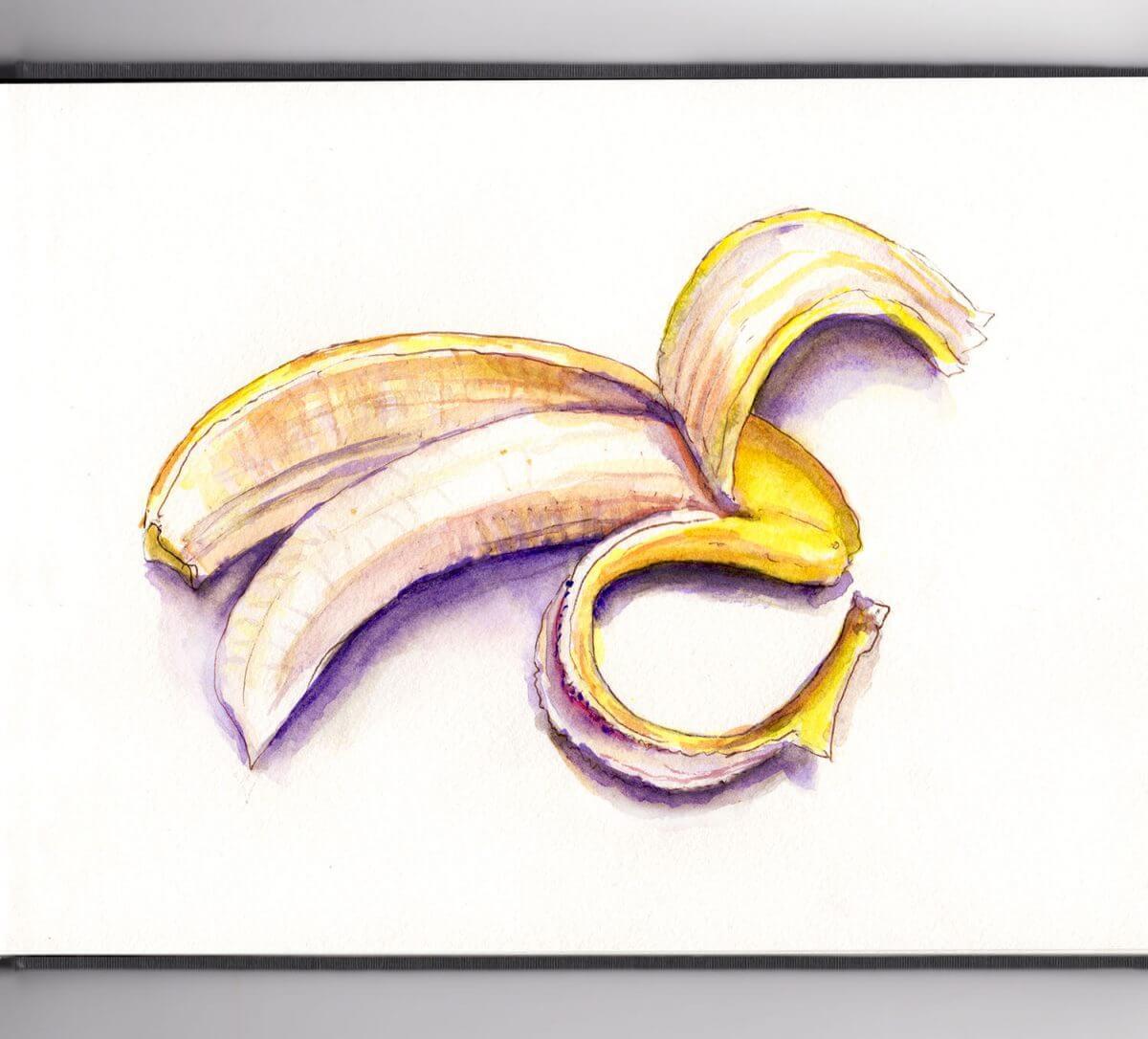 Banana Peel Drawing at Explore collection of