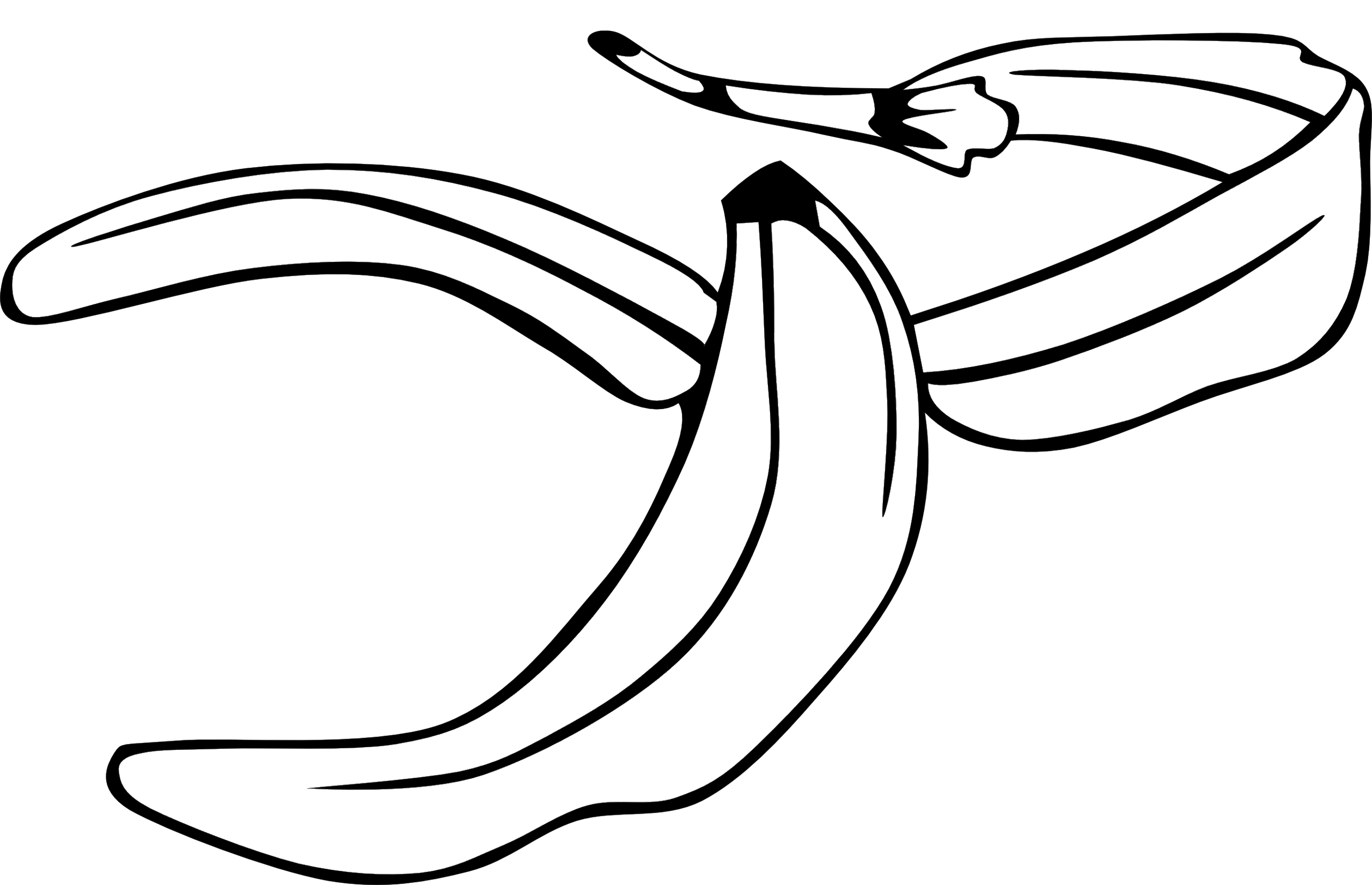 2519x1625 banana peel drawing drawing skill - Banana Peel Drawing