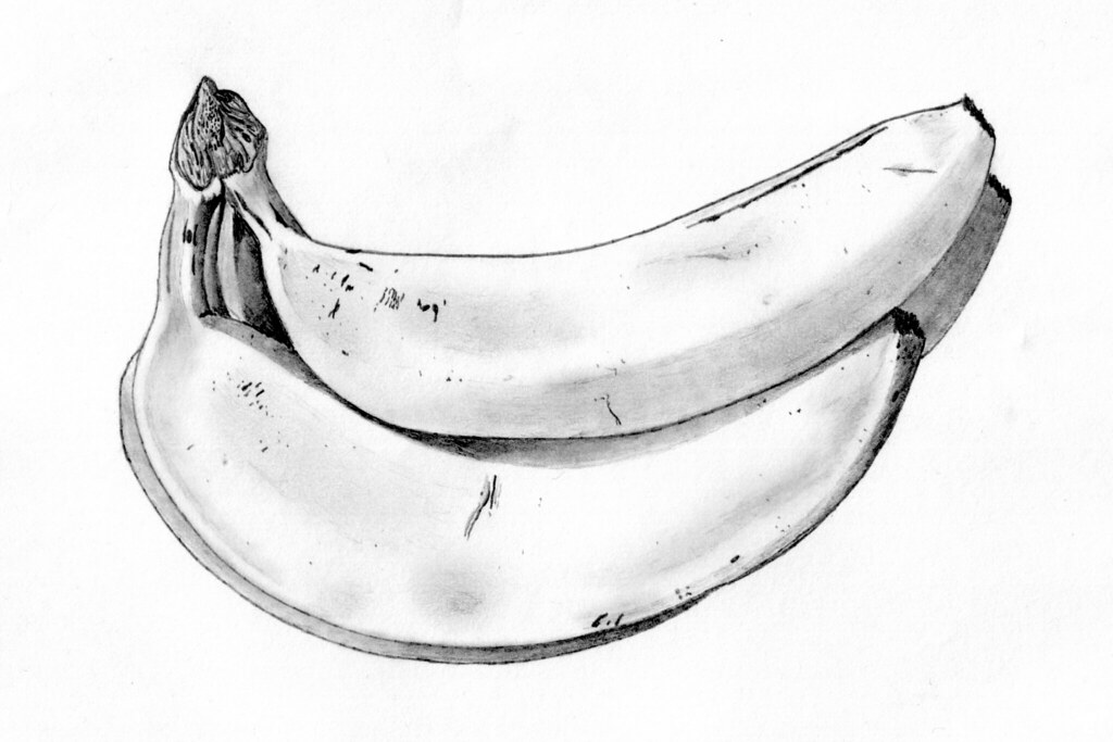 1024x683 Bananas Pencil Drawing Pencil Drawing Of Some Bananas - Banana Sketch Drawing