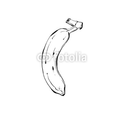 400x370 Hand Drawn Vector Abstract Ink Realistic Graphic Sketch Drawing - Banana Sketch Drawing