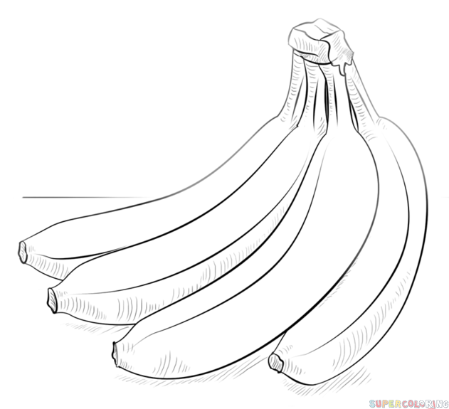 631x575 How To Draw A Bunch Of Bananas Step - Banana Sketch Drawing
