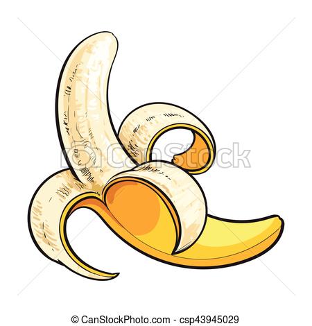 450x470 One Open, Peeled Ripe Banana, Sketch Style Vector Illustration - Banana Sketch Drawing