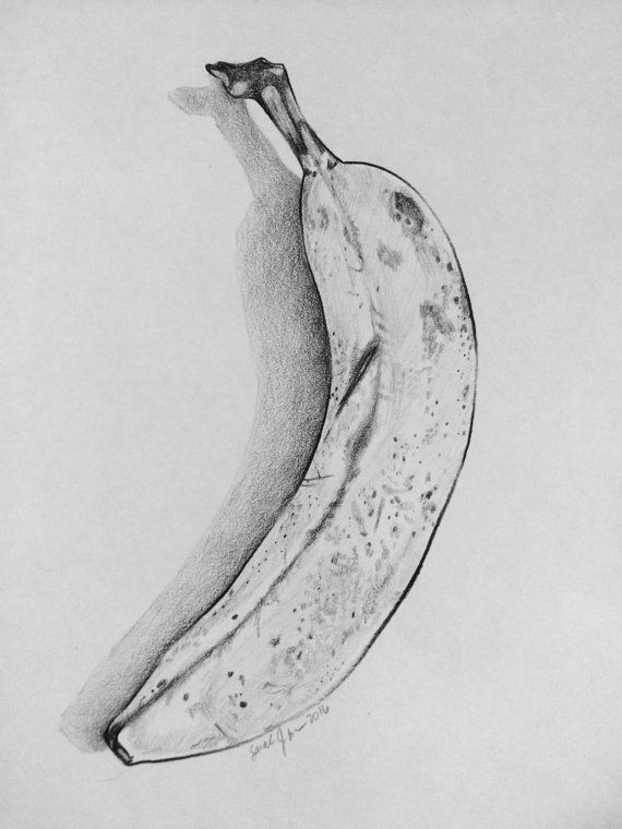 570x760 Original Banana Sketch - Banana Sketch Drawing