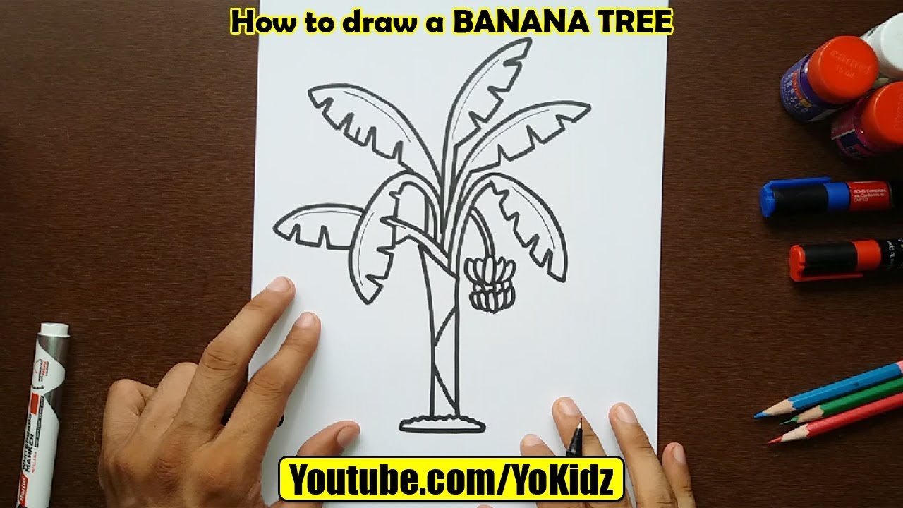 1280x720 How To Draw Banana Tree - Banana Tree Drawing