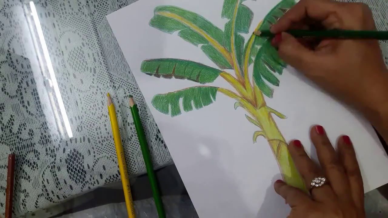 1280x720 How To Draw A Banana Tree - Banana Tree Drawing