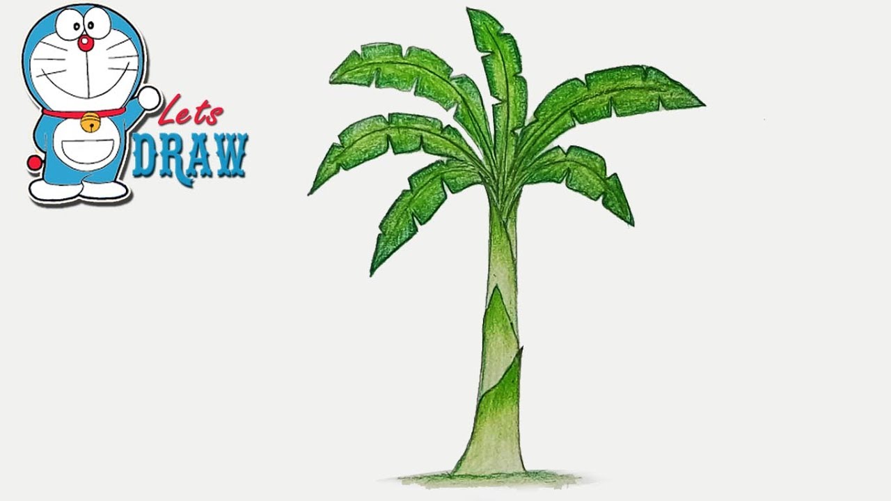 1280x720 How To Draw Banana Tree Step - Banana Tree Drawing